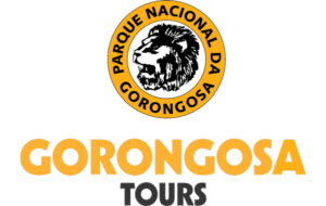 gorongosa